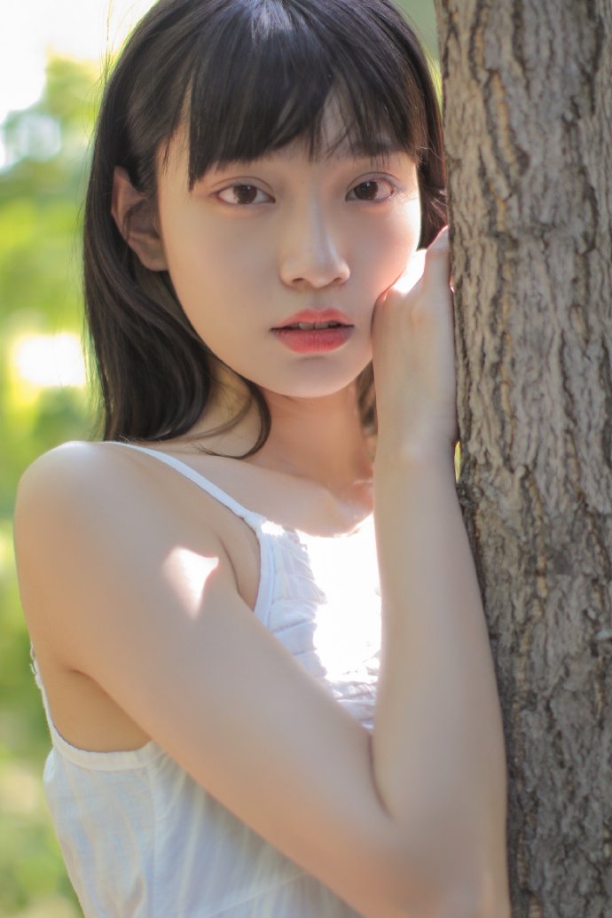 甄嬛传 封面